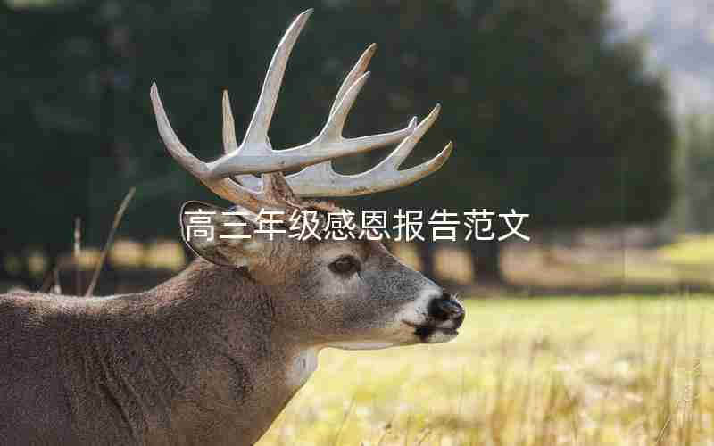 高三年级感恩报告范文