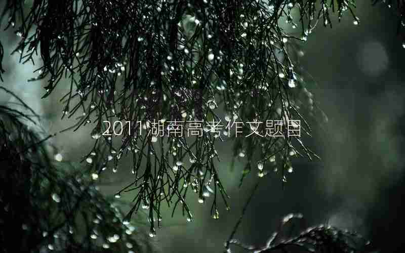 2011湖南高考作文题目