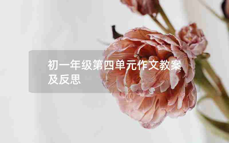 初一年级第四单元作文教案及反思