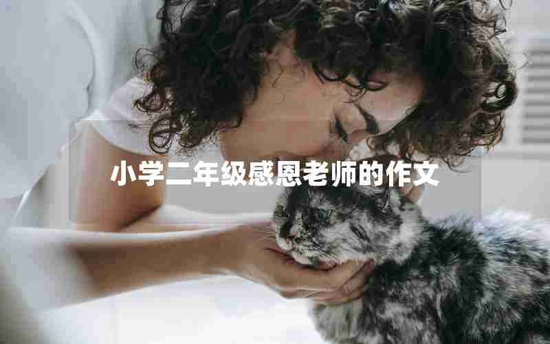 小学二年级感恩老师的作文