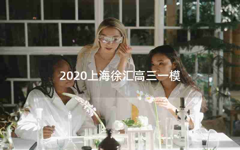 2020上海徐汇高三一模