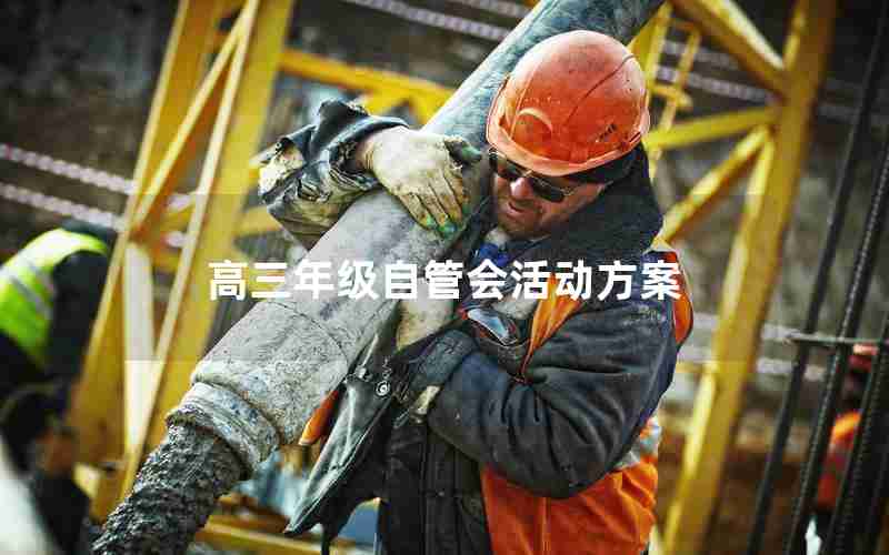 高三年级自管会活动方案