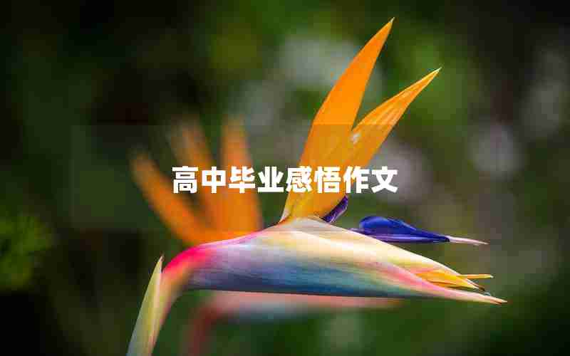 高中毕业感悟作文