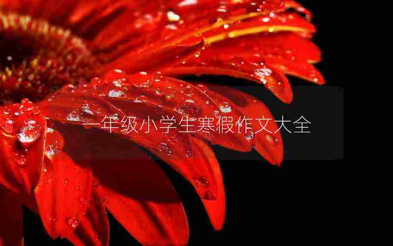 一年级小学生寒假作文大全