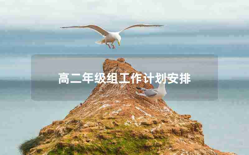 高二年级组工作计划安排