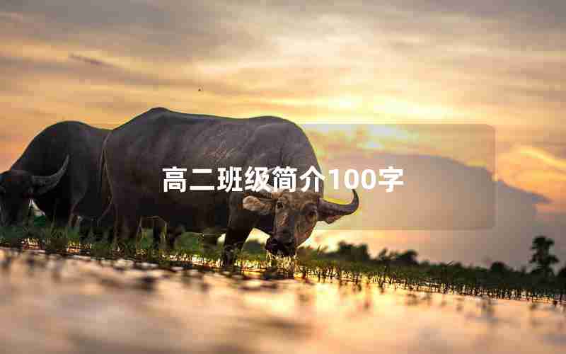 高二班级简介100字