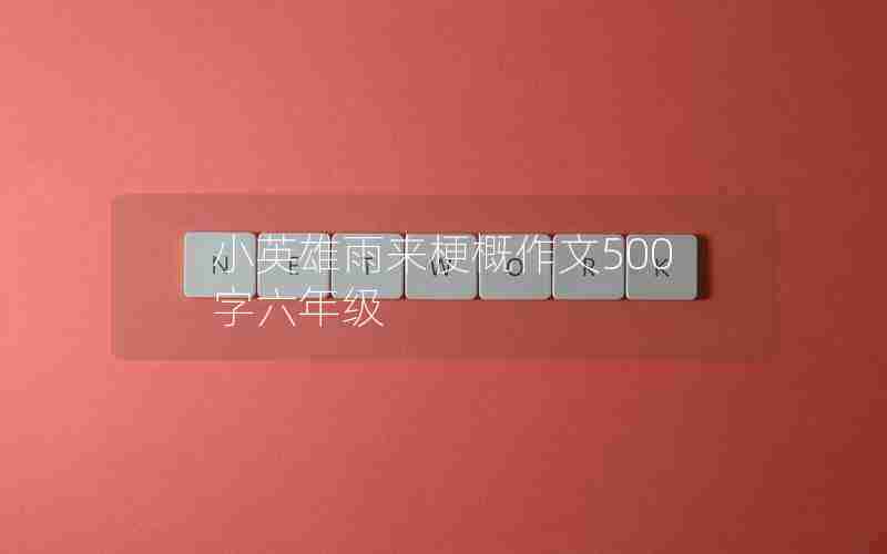 小英雄雨来梗概作文500字六年级