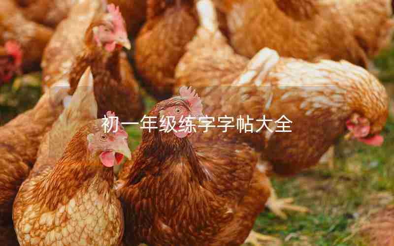 初一年级练字字帖大全