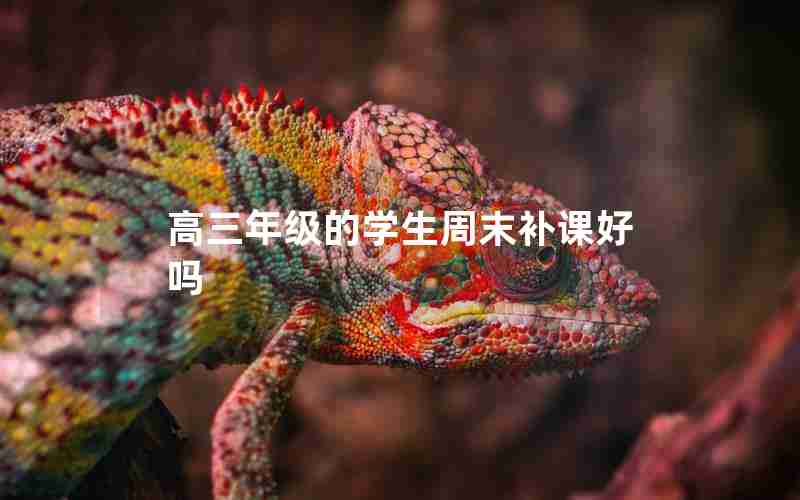 高三年级的学生周末补课好吗