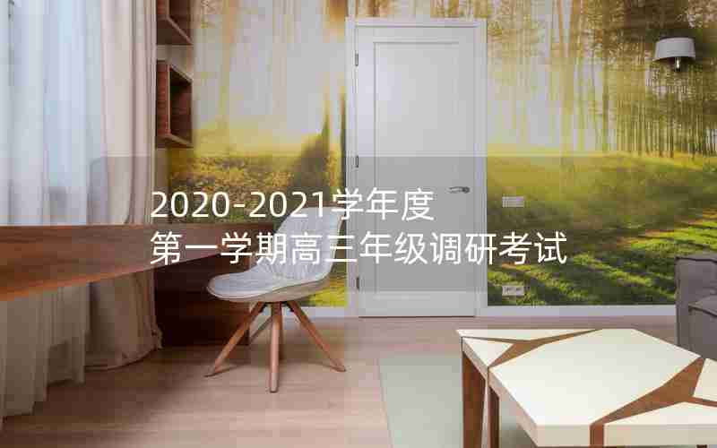 2020-2021学年度第一学期高三年级调研考试
