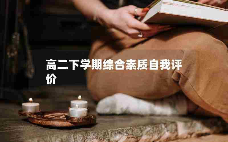 高二下学期综合素质自我评价