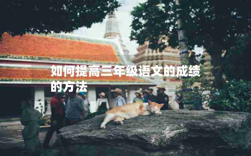 如何提高三年级语文的成绩的方法