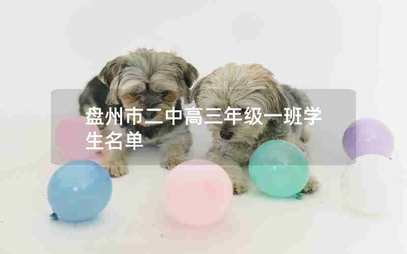 盘州市二中高三年级一班学生名单