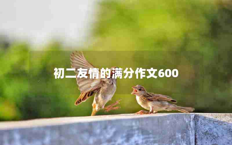 初二友情的满分作文600