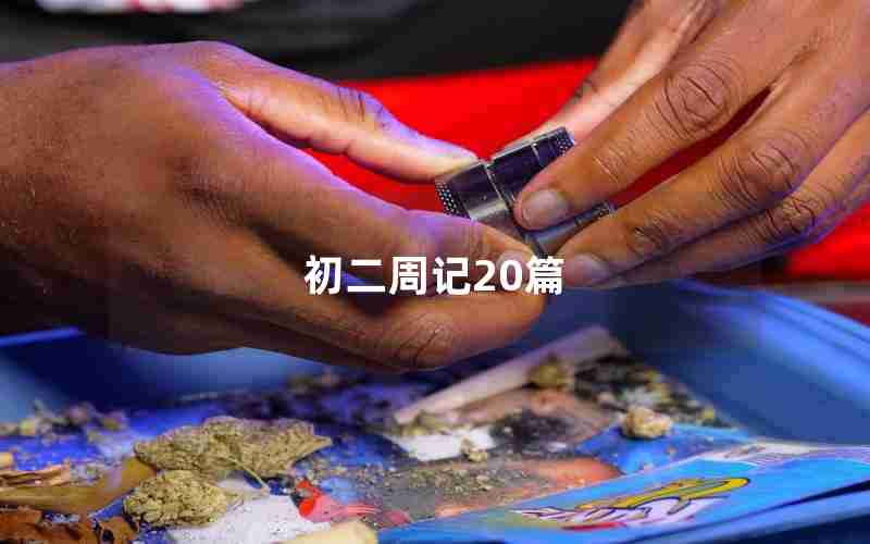 初二周记20篇