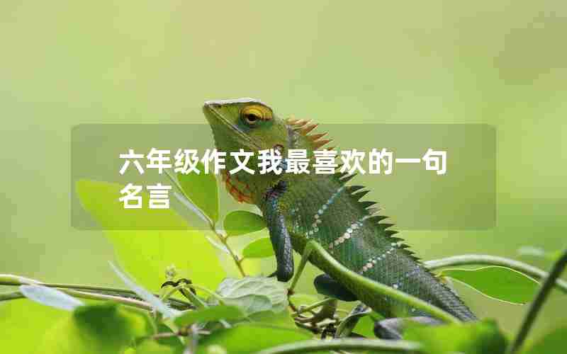 六年级作文我最喜欢的一句名言