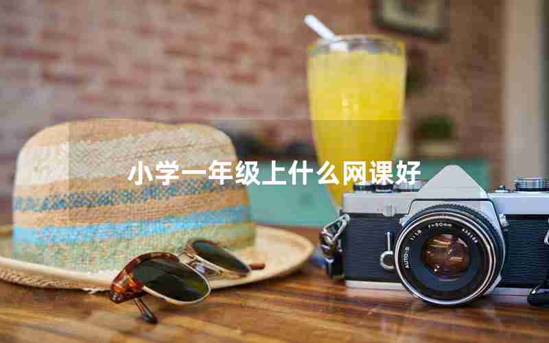 小学一年级上什么网课好