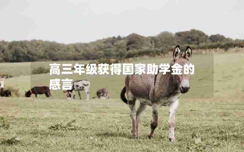 高三年级获得国家助学金的感言