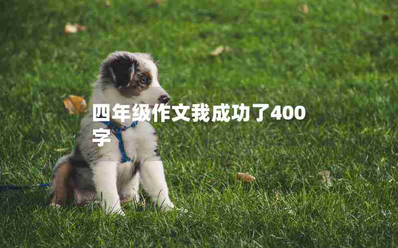 四年级作文我成功了400字