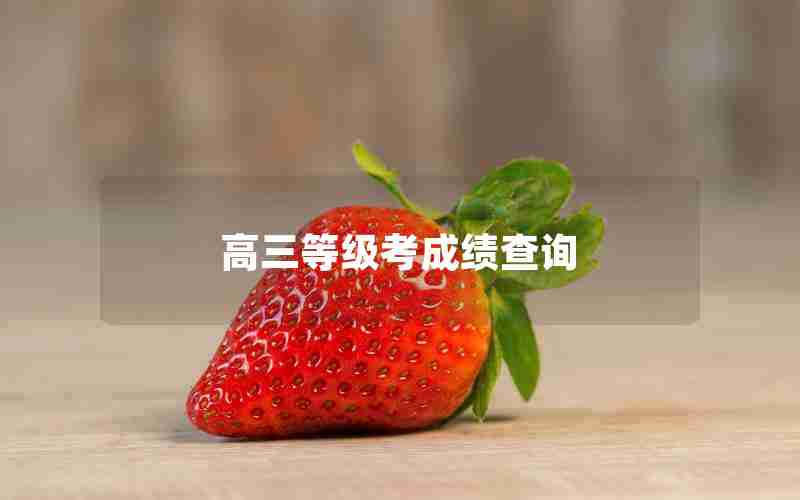 高三等级考成绩查询