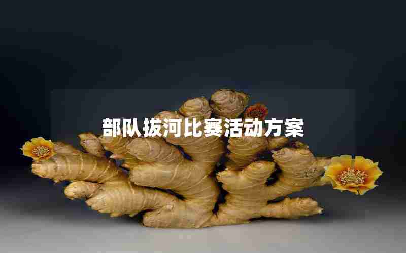 部队拔河比赛活动方案