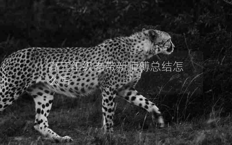 高三年级老带新师傅总结怎么写