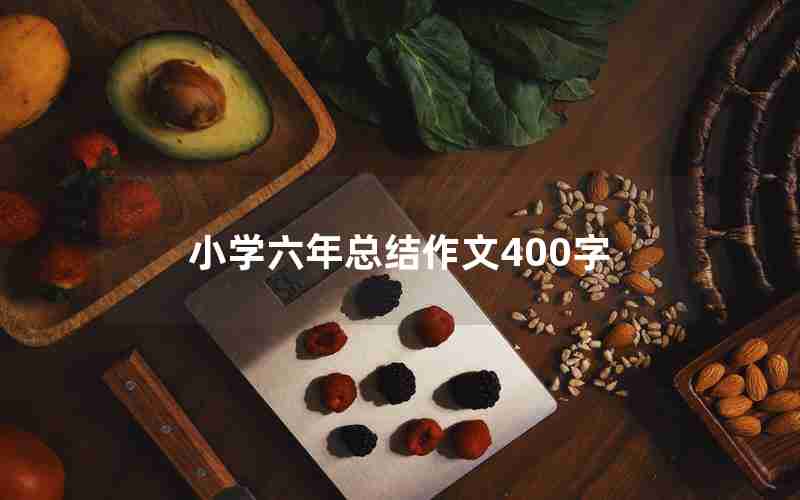 小学六年总结作文400字