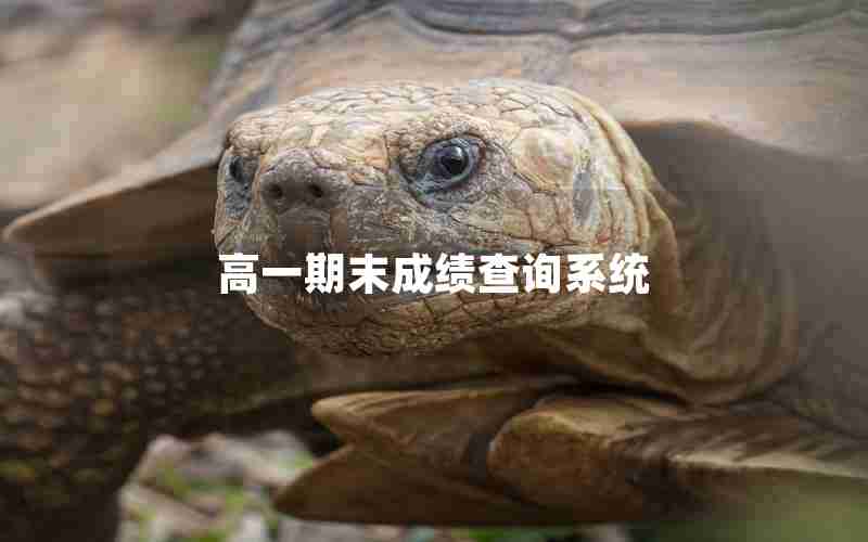 高一期末成绩查询系统