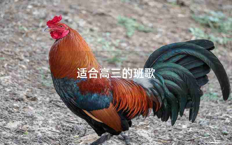 适合高三的班歌