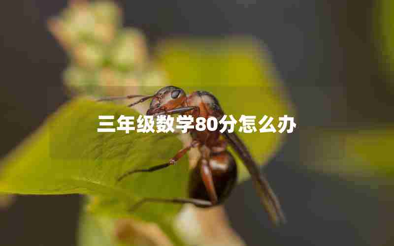 三年级数学80分怎么办
