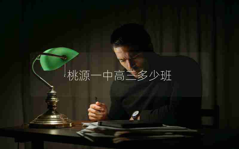 桃源一中高三多少班