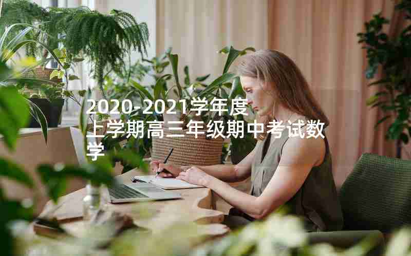 2020-2021学年度上学期高三年级期中考试数学