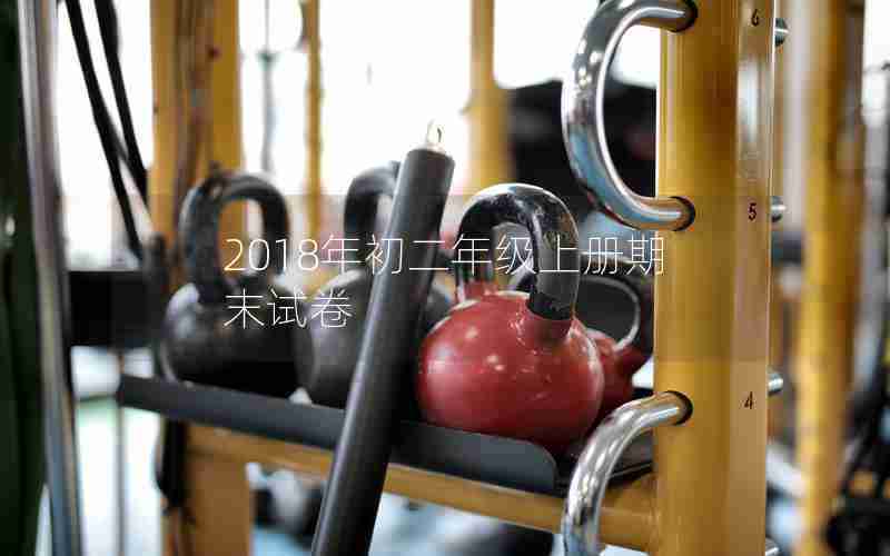 2018年初二年级上册期末试卷