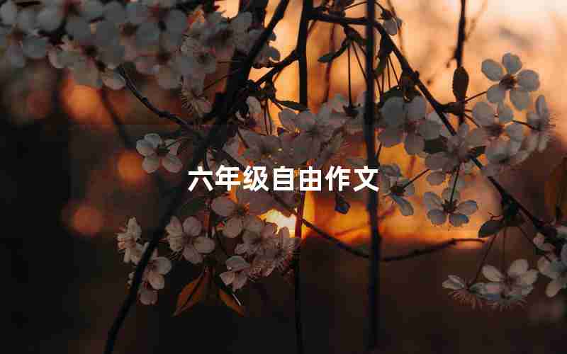 六年级自由作文