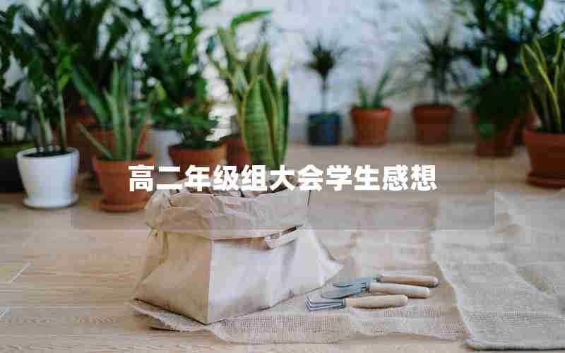 高二年级组大会学生感想