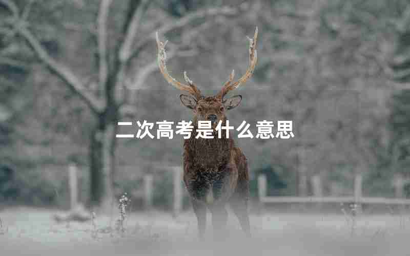 二次高考是什么意思
