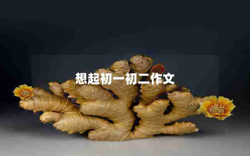 想起初一初二作文