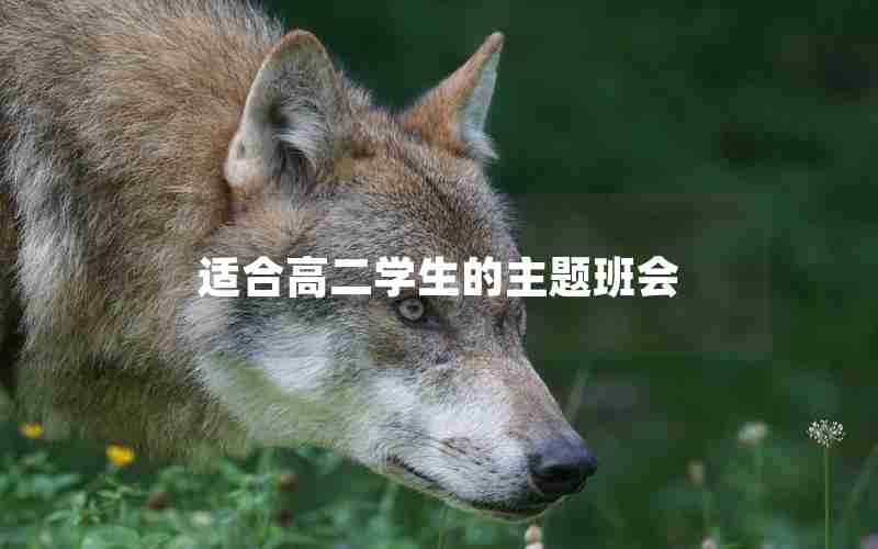 适合高二学生的主题班会