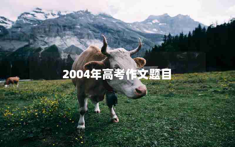 2004年高考作文题目