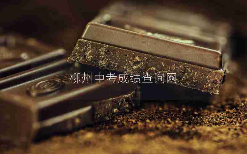 柳州中考成绩查询网