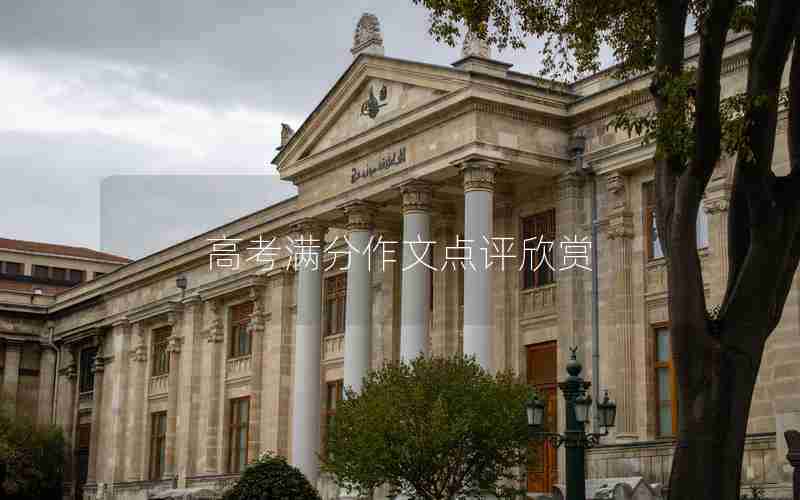 高考满分作文点评欣赏