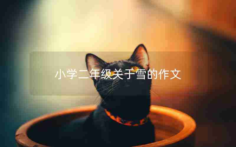 小学二年级关于雪的作文