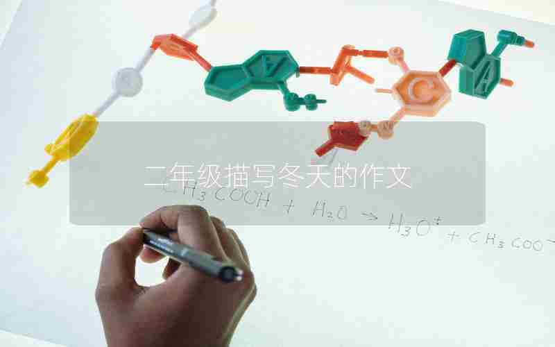 二年级描写冬天的作文