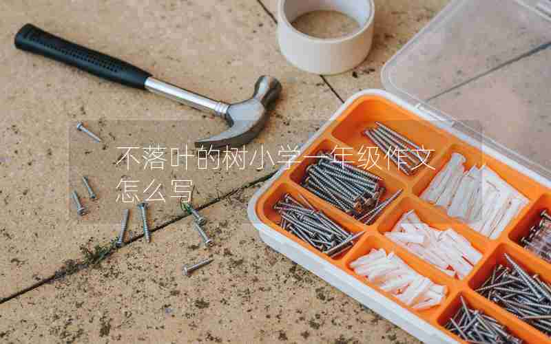 不落叶的树小学一年级作文怎么写