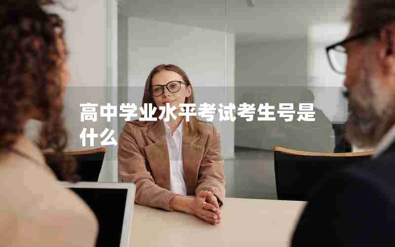 高中学业水平考试考生号是什么