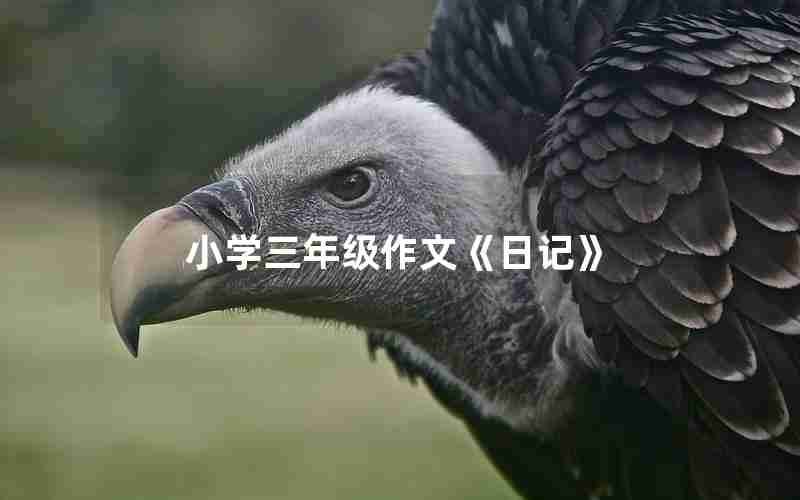 小学三年级作文《日记》