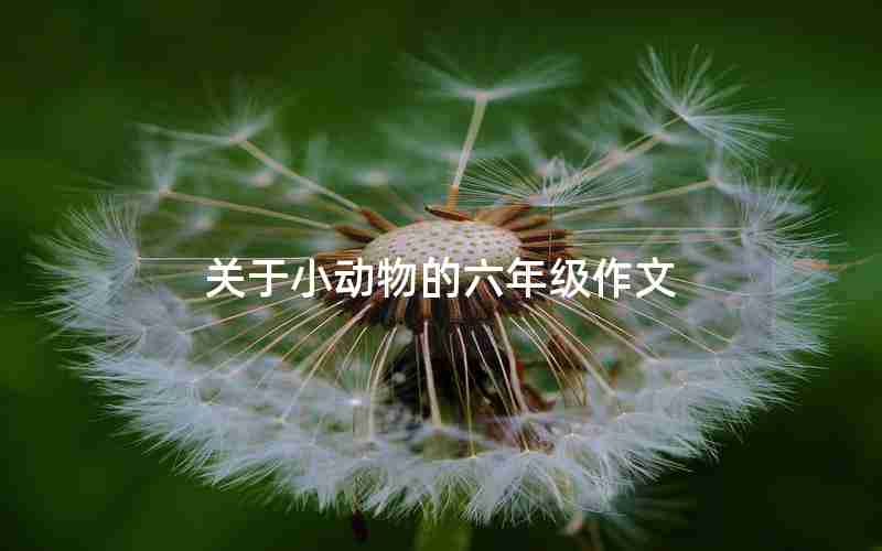 关于小动物的六年级作文