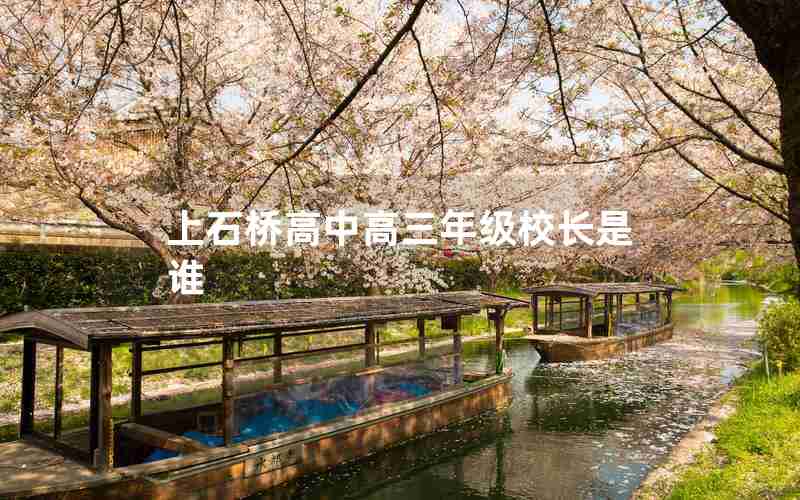 上石桥高中高三年级校长是谁