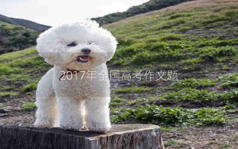 2017年全国高考作文题