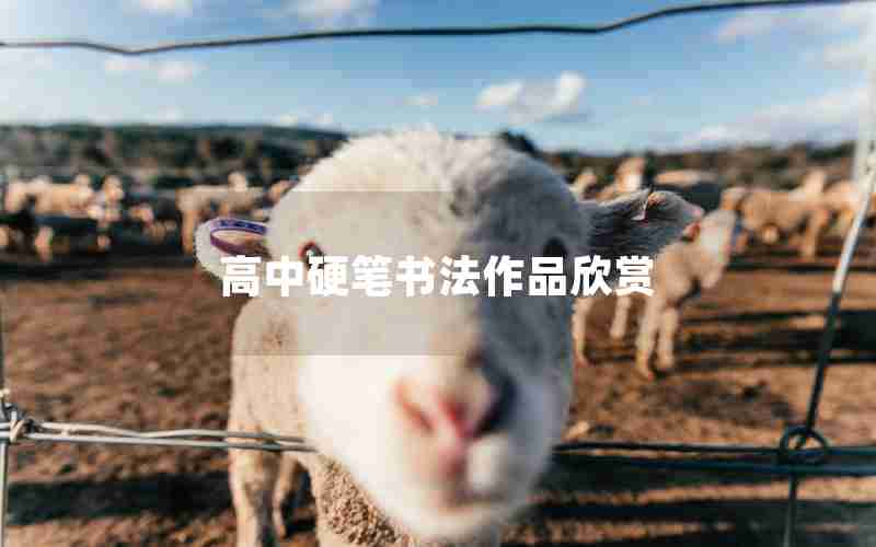 高中硬笔书法作品欣赏